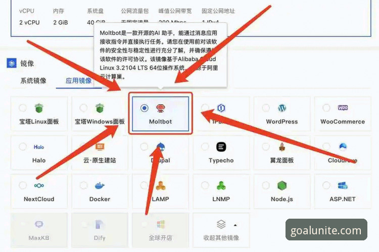 2026球盟会APP下载完整指南：从安装到注册的实战操作